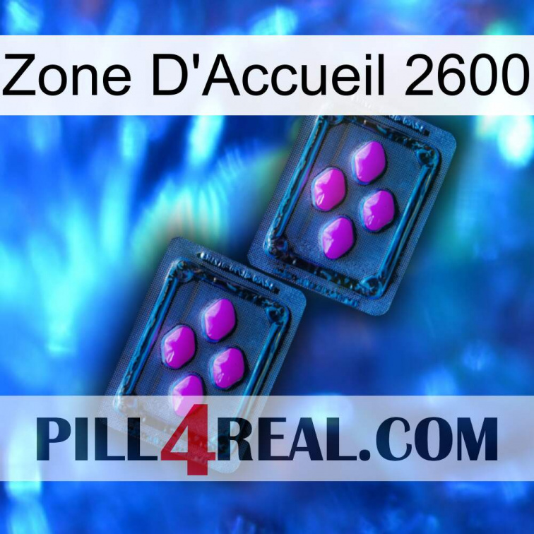 Home Zone 2600 03